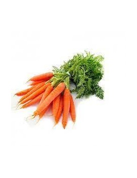 Carottes (1 botte -...