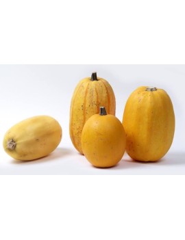 Courge spaghetti (12...