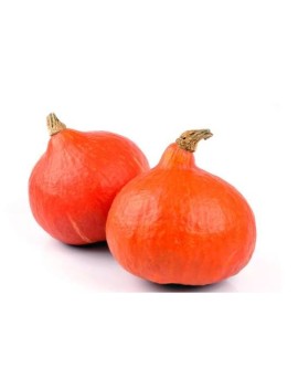 Potimarron (12 kg) -...