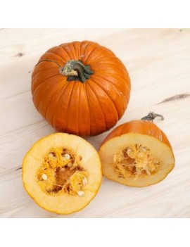 Courge mini Jack O...