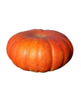 Potiron (12 kg) - cat....
