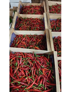 Piment rouge Cayenne...