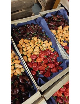 Piment Habanero...
