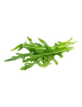 Roquette (1 botte) -...