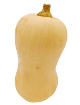 Butternut (12 kg) -...