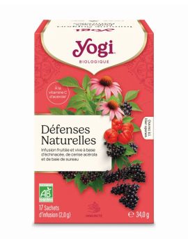 IMMUNE SUPPORT