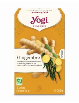 GINGER