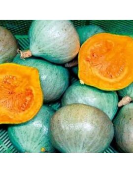 Courge Blue Ballet (12...