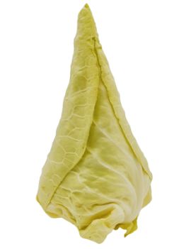 Spitskool (1 pc) -...