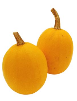Courge spaghetti (12...