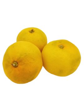 Mandarine (6 kg) -...