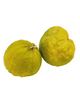Cedrat (6 kg) - cat. 2...