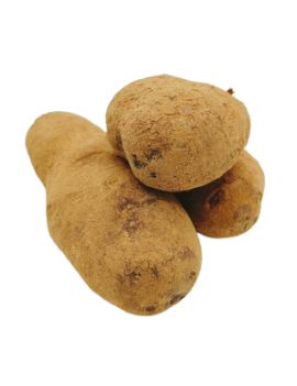 Aardappel Ulysse (5...