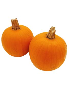 Mini Jack...