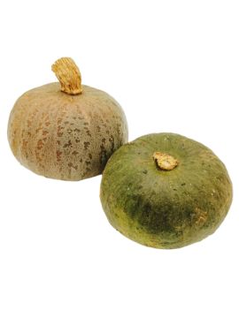 Potimarron vert doux...