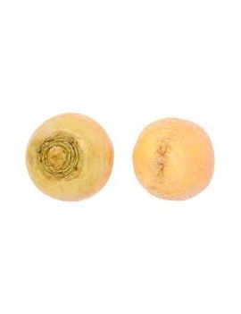 Navet beurre  (5 kg) -...