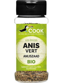 ANIJSZAADJES