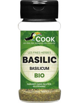 BASILIC FEUILLES