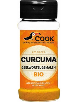CURCUMA POUDRE