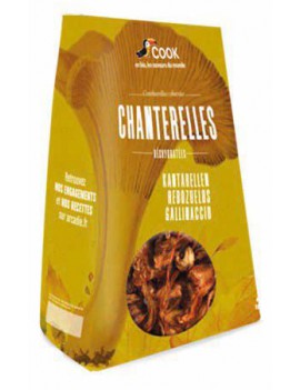 CHANTERELLES PETITS