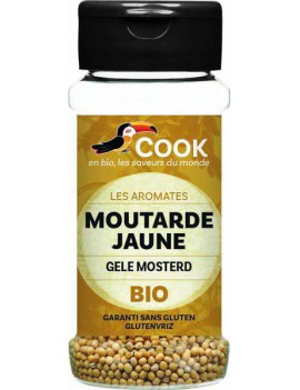 MOUTARDE JAUNE