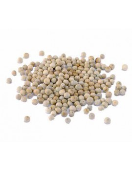 POIVRE BLANC GRAINS