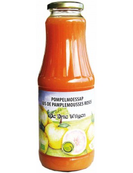 JUS DE PAMPLEMOUSSE