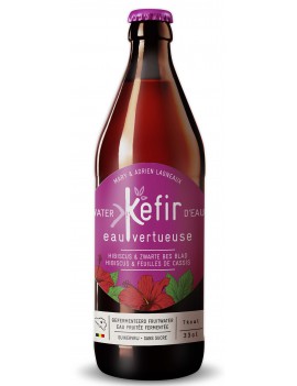 KEFIR DE FRUITS HIBISCUS