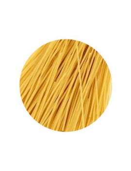 SPAGHETTI BLE BLANC