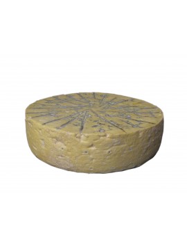 Cornflower bleu (+/- 3...