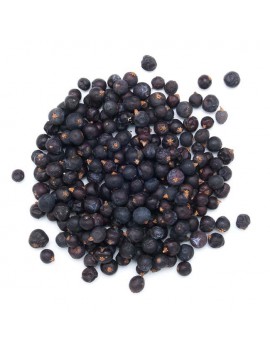 JENEVERBES