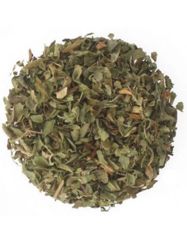 VERVEINE ODORANTE...