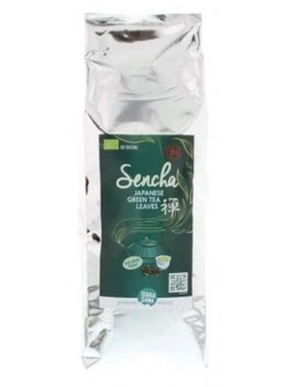 THE VERT SENCHA