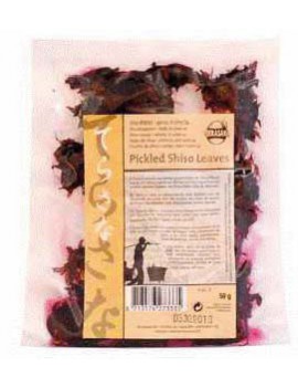 SHISO BLAD