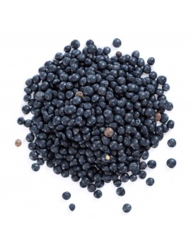 LENTILLES NOIRES BELUGA
