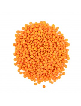 LENTILLES CORAIL BELGES