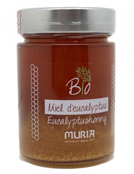 MIEL EUCALYPTUS