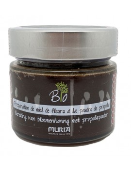 MIEL DE FLEURS PROPOLIS