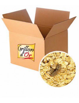 MUESLI PREMIUM