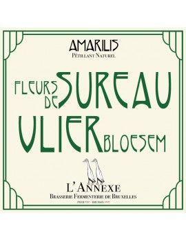 Limonade sureau