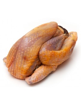 PRECO NOEL 12/12 -...