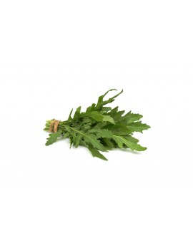 PRECO - Roquette en...