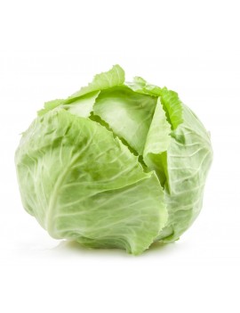 PRECO - Chou vert (1...