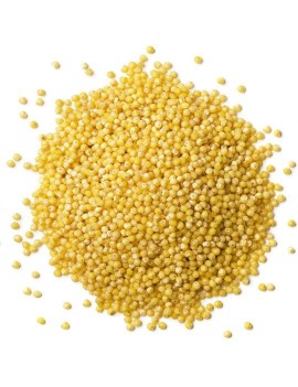 GLUTENGIERST HUANGMI
