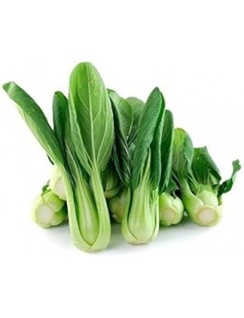 Mini Packchoï kool (1...