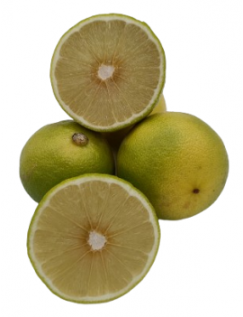 Citron bergamote (6...