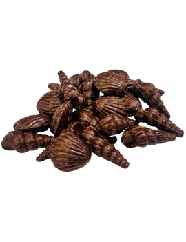 Fruits de mer chocolat...
