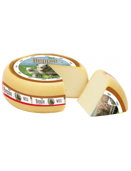 Gouda de brebis jeune...