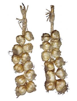 Tresse d'ail fumé -...