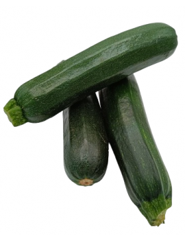 Courgette cal. 14/21...